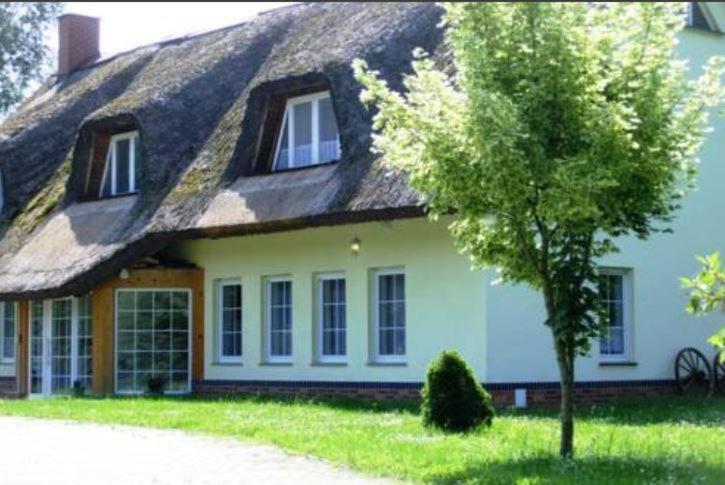 Am Fliess